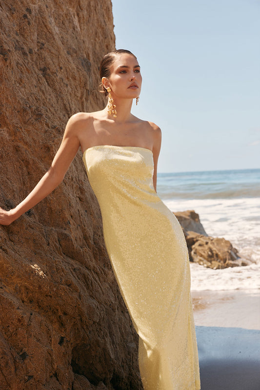 Endless Rose Classic | Strapless Sequined Maxi Dress