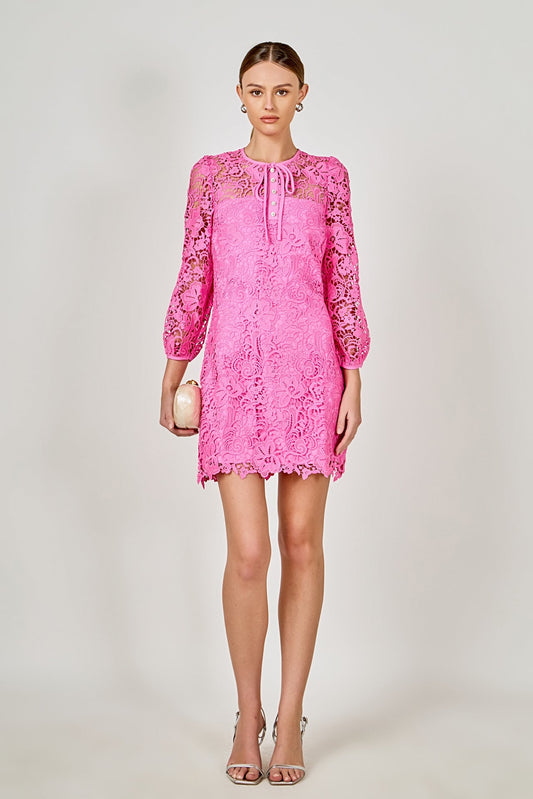 Endless Rose Sale | Lace Mini Dress