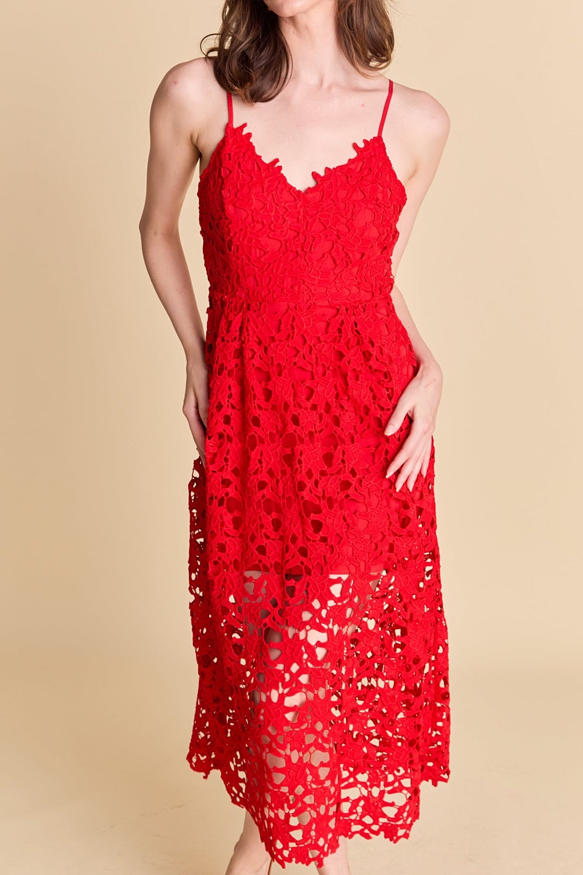 Endless Rose New | Lace Midi Dress